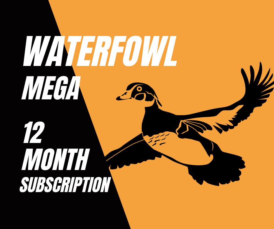 Waterfowl Mega Box (12 Month)