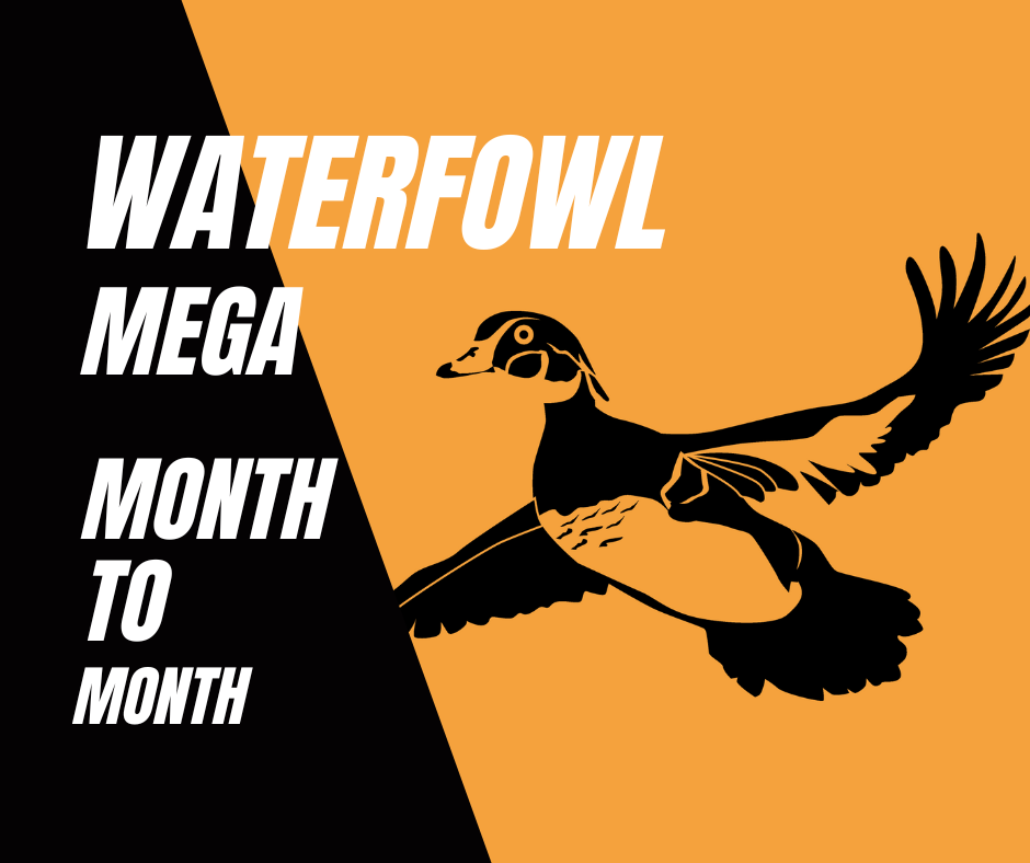 Waterfowl Mega Box