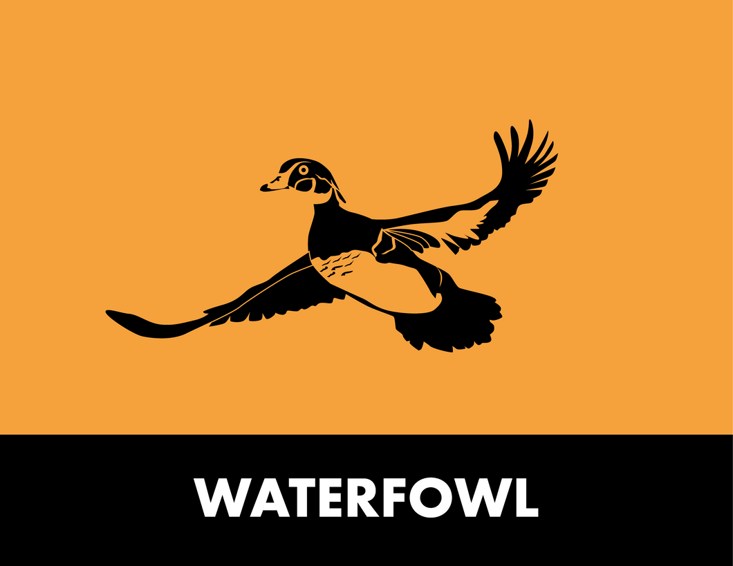 Waterfowl Mega Box - GIFT