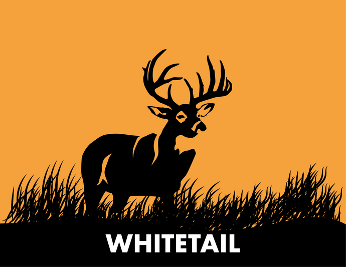 Whitetail Pro Box - GIFT